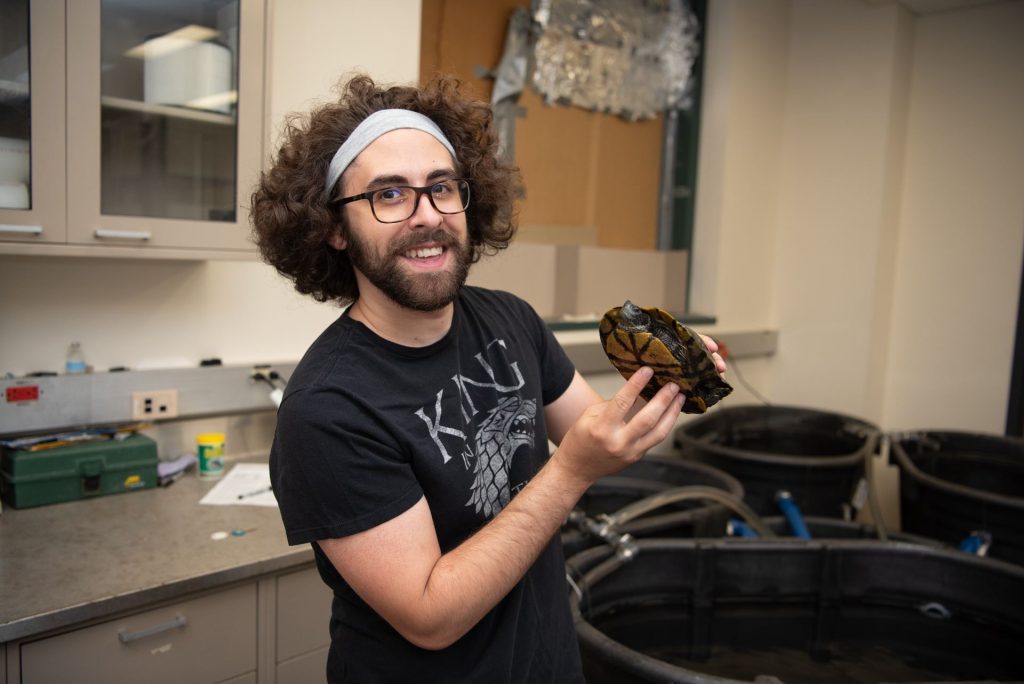 The winner of the 2023 Clarence W. Sorensen Distinguished Dissertation Award is Dr. Anthony (Tony) Breitenbach, Ph.D. ’22. Here Breitenbach is holding a male red-eared slider turtle that he is observing for his research.